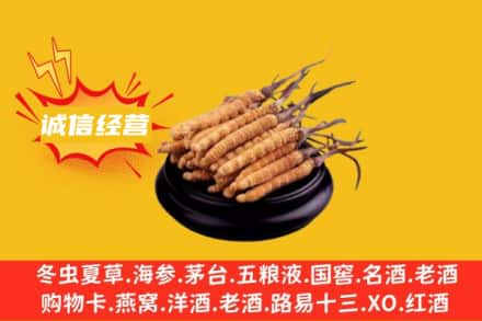 嘉峪关回收冬虫夏草